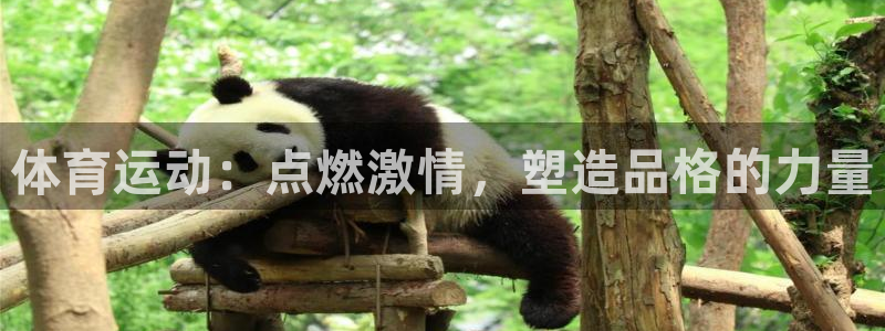 凯发官方正版app娱乐平台:体育运动:点燃激情,塑造品格的力